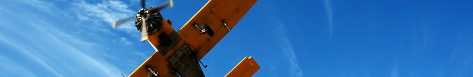 ASLAN KRAL’IN MACERALARI Rotating Header Image